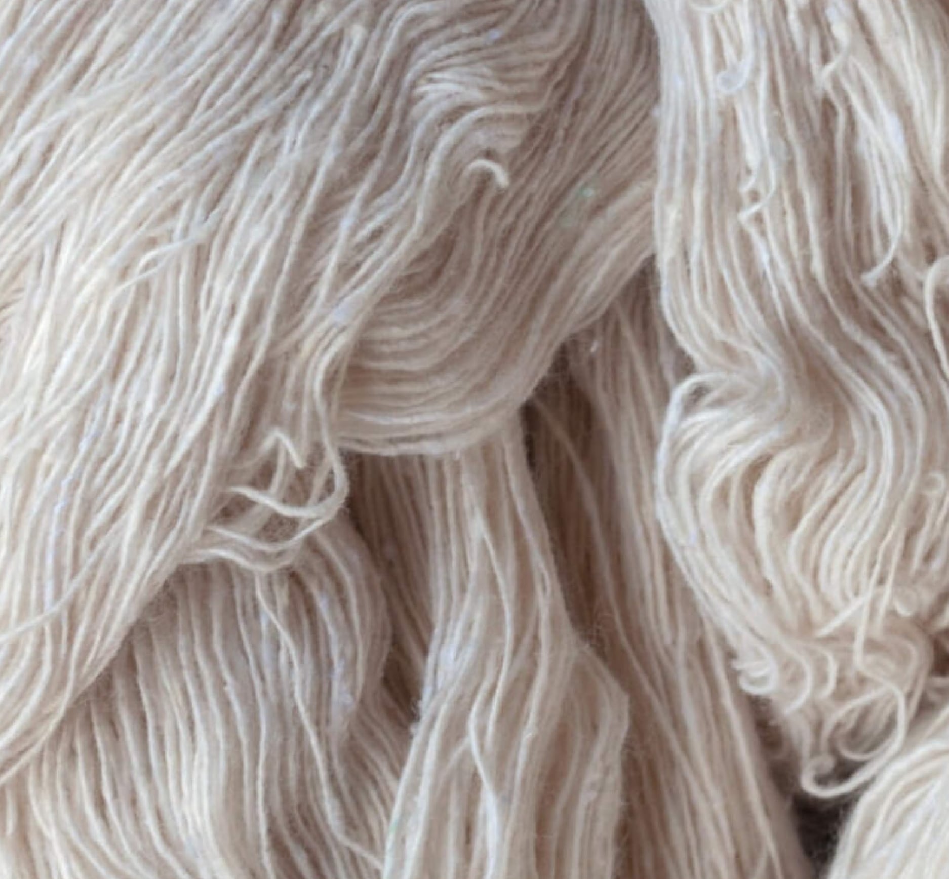 Auriga_Group_Aurifil_4
